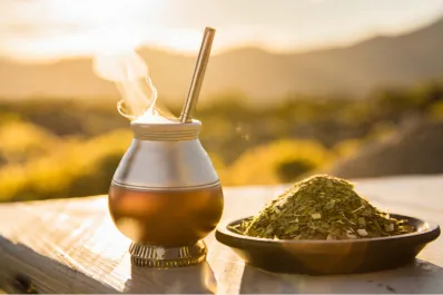 ¿Qué hierba agregarle al mate para disminuir la hinchazón abdominal y calmar los dolores estomacales?