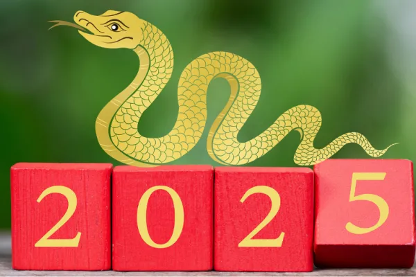 Horóscopo chino: que peligros deberá enfrentar cada signo en 2025, según Ludovica Squirru