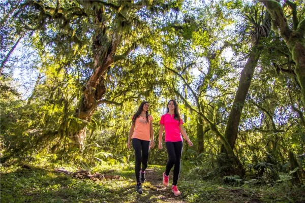 Boom turístico en Tucumán: éxito en enero y altas expectativas para febrero