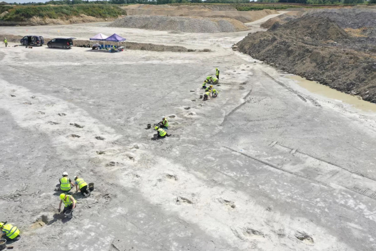 El rastro de huellas más largo de la cantera tiene una longitud de 150 metros. ( AP/Universidad de Birmingham )