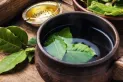 ¿Para qué sirve el té de laurel en ayunas? Los múltiples beneficios de esta infusión por la mañana