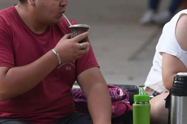 Yerba mate: se desplomaron las ventas en el mercado interno tras la desregulación del sector