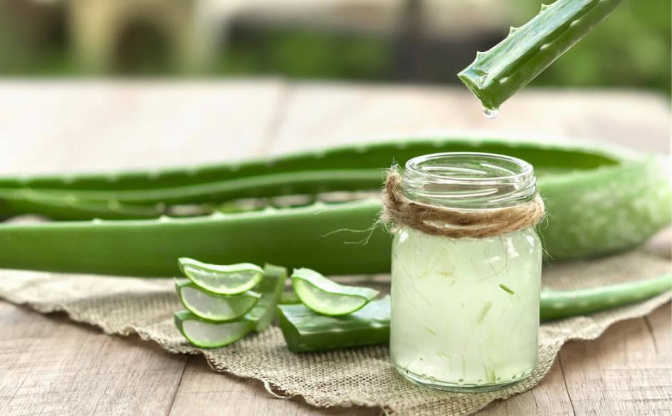 El gel de aloe vera trae múltiples beneficios por sus propiedades hidratantes, antiinflamatorias y antioxidantes.
