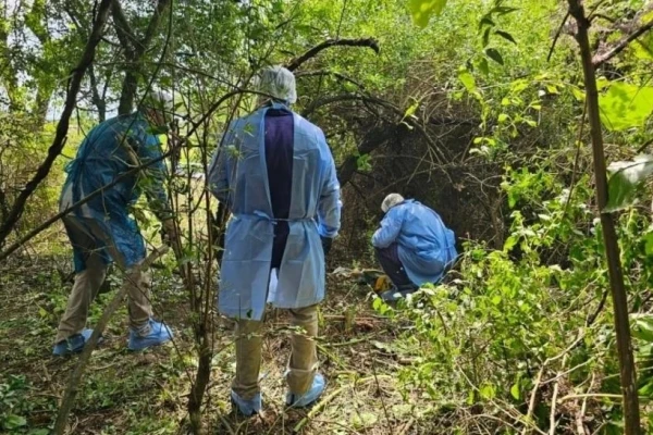 Tucumán: las claves de la baja de homicidios en 2024