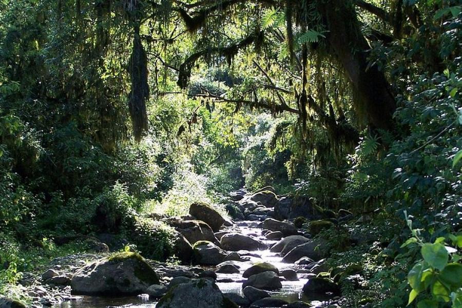 PROTECCIÓN A LA BIODIVERSIDAD. Al finalizar su participación, los voluntarios reciben un certificado que avala su labor y formación. / PARQUE NACIONAL ACONQUIJA TRIP ADVISOR