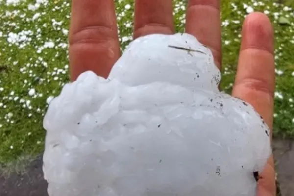 Mendoza: un temporal de granizo causó estragos