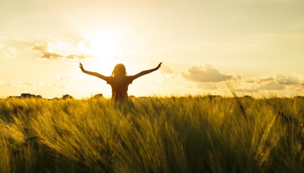 Esta técnica busca lograr la armonización de las dimensiones del hombre.