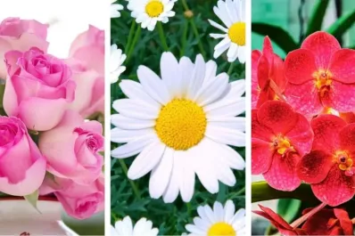 Test de personalidad: elegí una flor y descubrí qué debés soltar para crecer en 2026