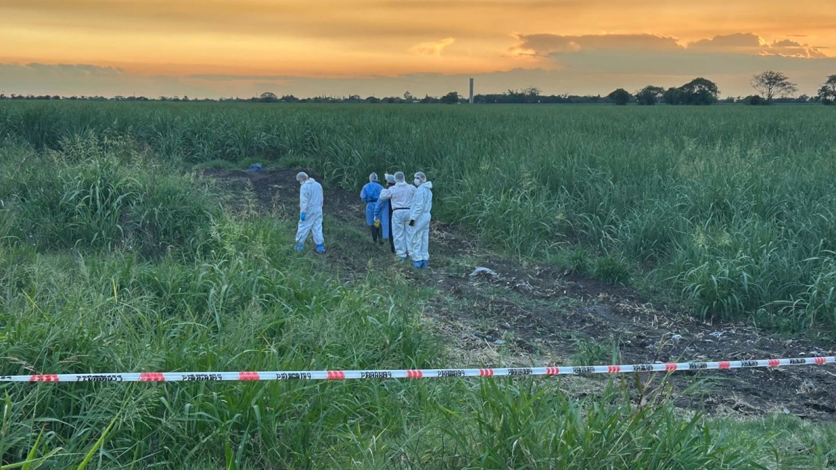 Encontraron el cuerpo de un hombre en medio de un cañaveral en Ranchillos