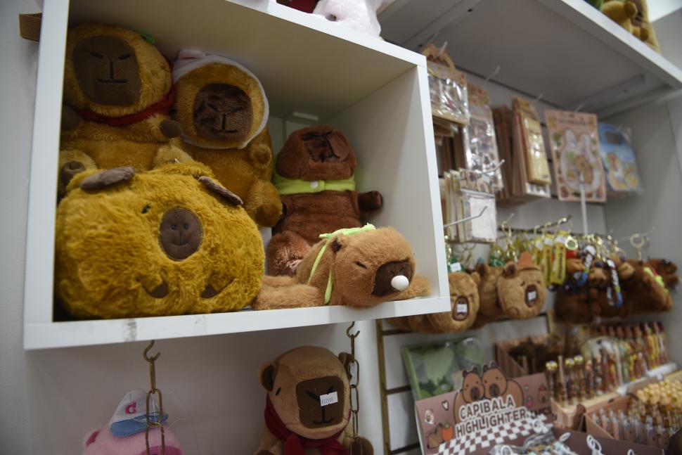 FUROR. Hay productos inspirados, desde peluches, mochilas y ropa.