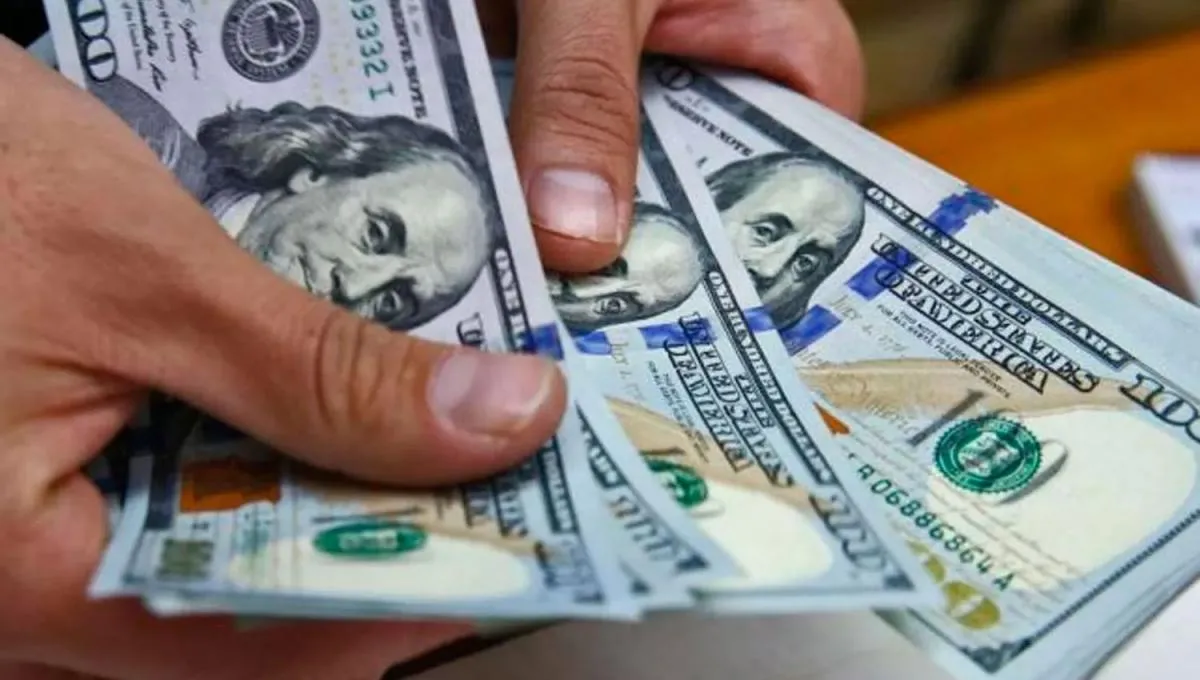 DÓLAR. El blue finalizó la semana con una suba de $5.