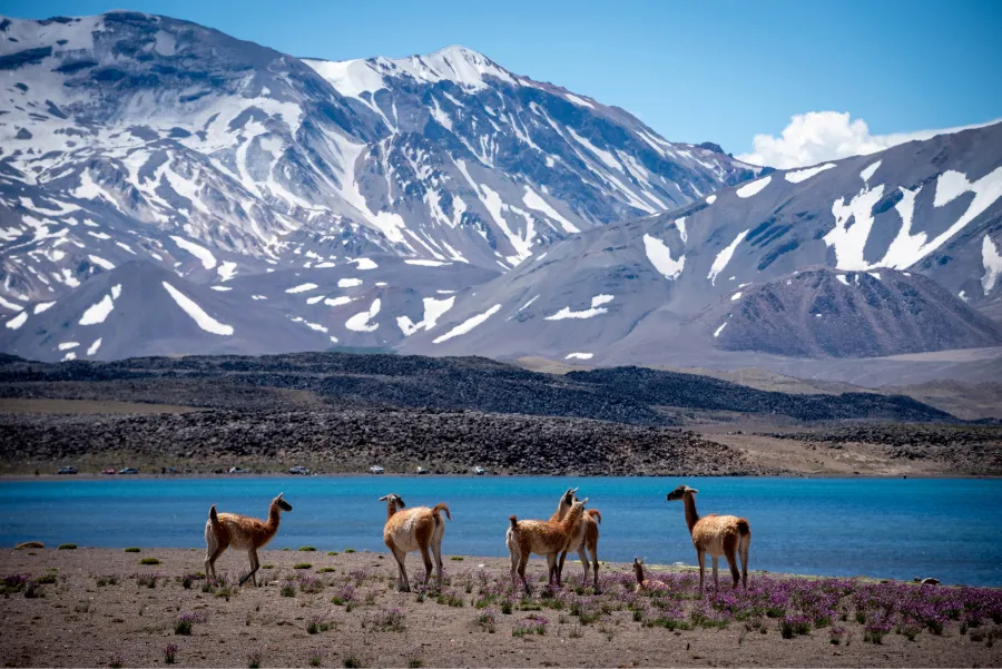 PAISAJE DE ENSUEÑO. La reserva natural Laguna del Diamante tiene vistas y actividades increíbles. / GOBIERNO DE MENDOZA