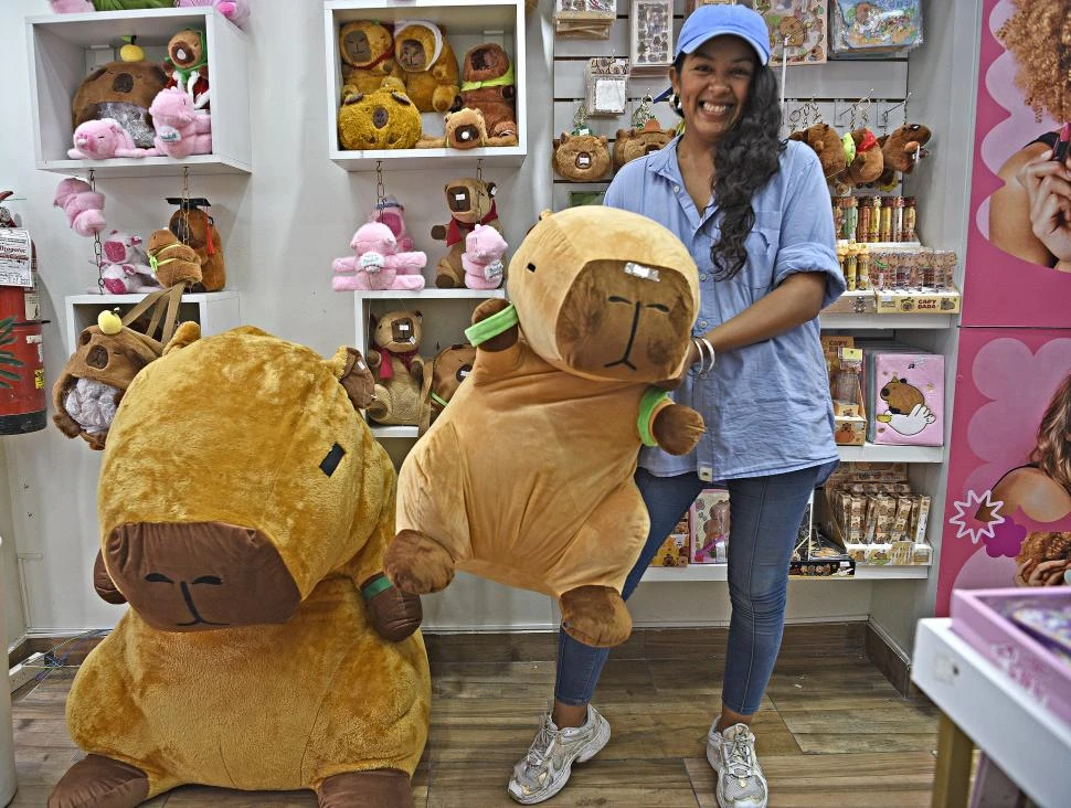 FIEBRE POR EL CARPINCHO. La vendedora de un comercio de calle Mendoza exhibe los peluches capibara.