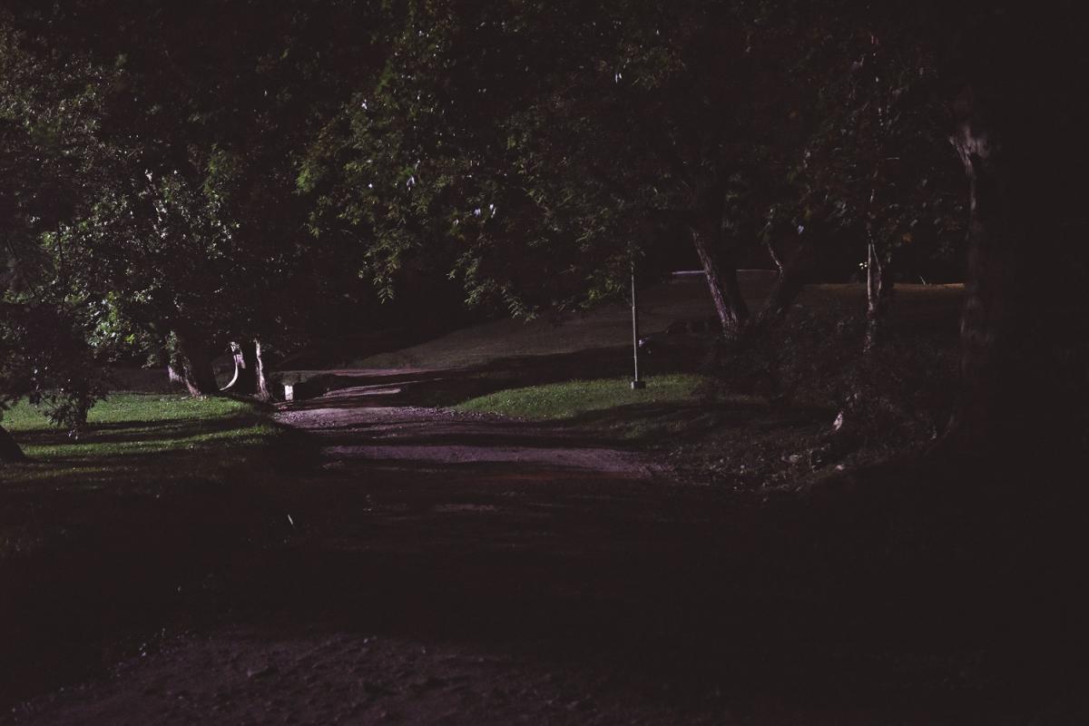 De día es uno; de noche, otro: el parque Guillermina y su doble cara