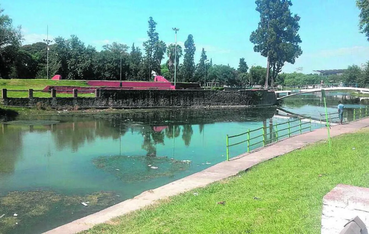 Parque 9 de Julio: municipales descubrieron a un trapito cocinando un ganso del lago San Miguel