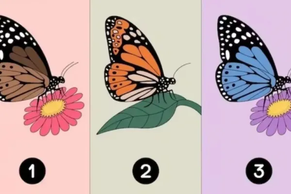 Test de personalidad: la mariposa que elijas te invita a descubrir cómo te ven los demás