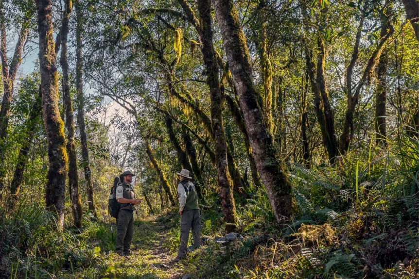 PARQUE NACIONAL ACONQUIJA. un destino diferetne en el sur de Tucuman./PARQUE NACIONAL