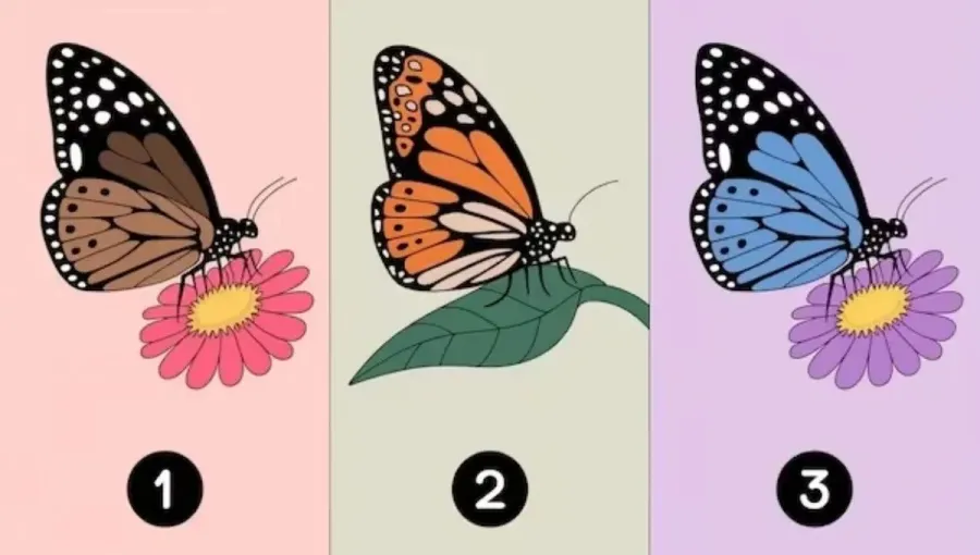 Test de personalidad: elegí una mariposa y conocé cómo te ven los demás