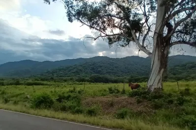 Los mejores senderos para ir en bicicleta en Yerba Buena