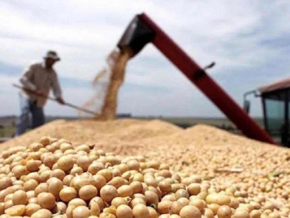 CONTEXTO DIFÍCIL. Los productores aducen que vienen de varios años de problemas, agravados por la sequía.