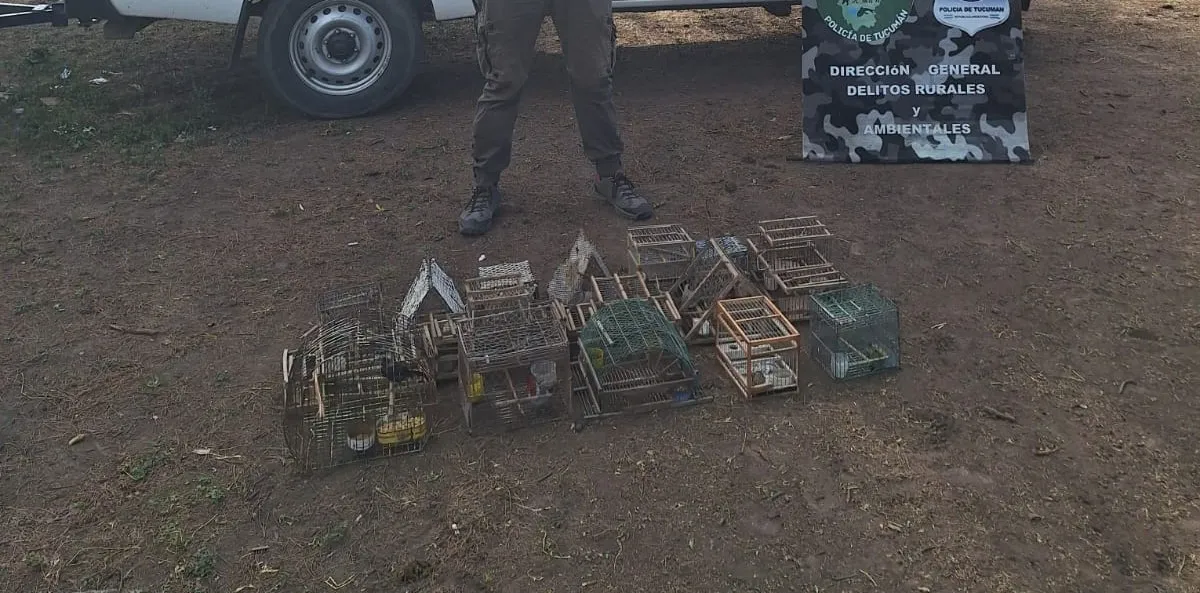 Rescataron aves silvestres que se encontraban en cautiverio