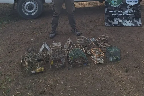 Rescataron aves silvestres que se encontraban en cautiverio