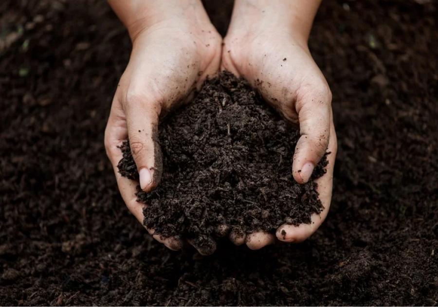 El aroma a tierra mojada es uno de los favoritos.