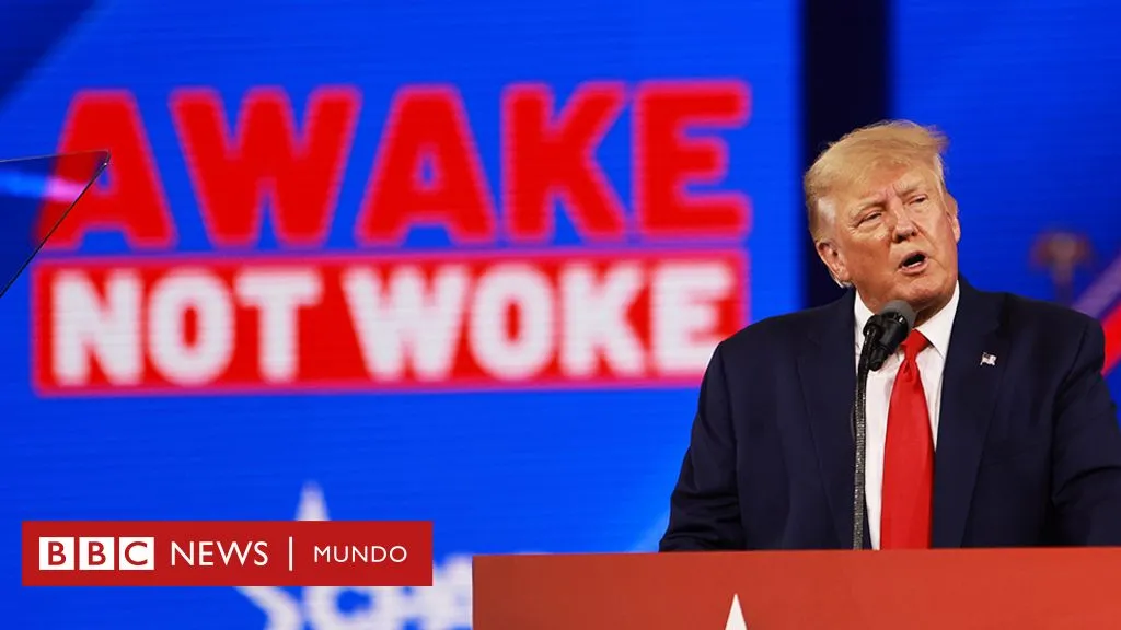 Tanto Milei como Trump critican lo que consideran un exceso de corrección política asociado con la cultura “woke”.