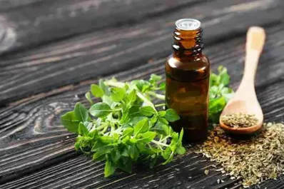 Es rica en potasio, aporta colágeno y disminuye dolores de artrosis