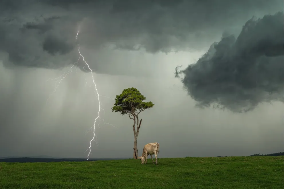 Alerta meteorológica por tormenta y vientos zonda: qué provincias del norte esperan lluvias