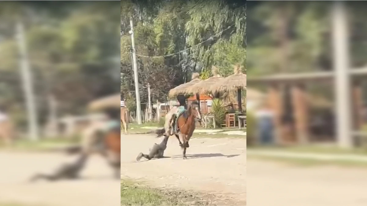 El Mollar: un niño fue arrastrado por un caballo de alquiler y terminó internado