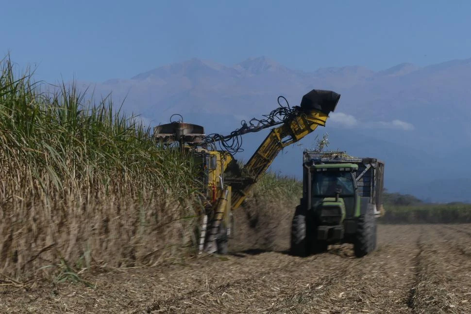 Baja de las retenciones: la reacción del sector en Tucumán