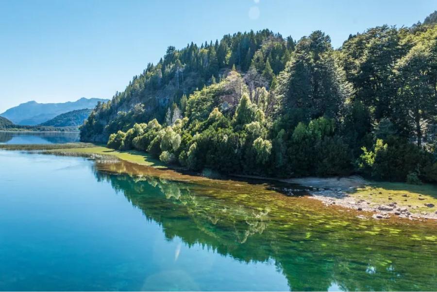 PARQIE NACIONAL. los Alerces fue creado en 1937 y declarado Sitio de Patrimonio Mundial Natural por la Unesco en 2017, según datos del Gobierno argentino./NATIONAL GEOGRAPHIC