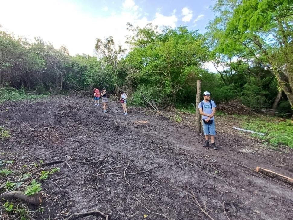 Otro caso de usurpación: avanza la ocupación de tierras en la yunga de Tafí Viejo