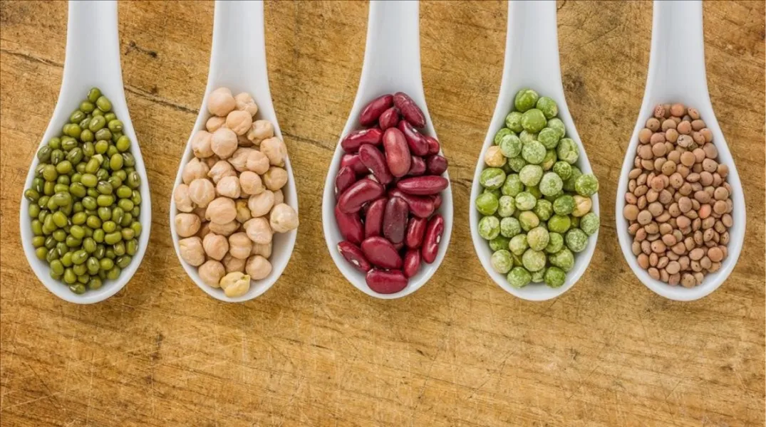 La legumbre que se debe consumir hasta cuatro veces por semana, según Harvard.