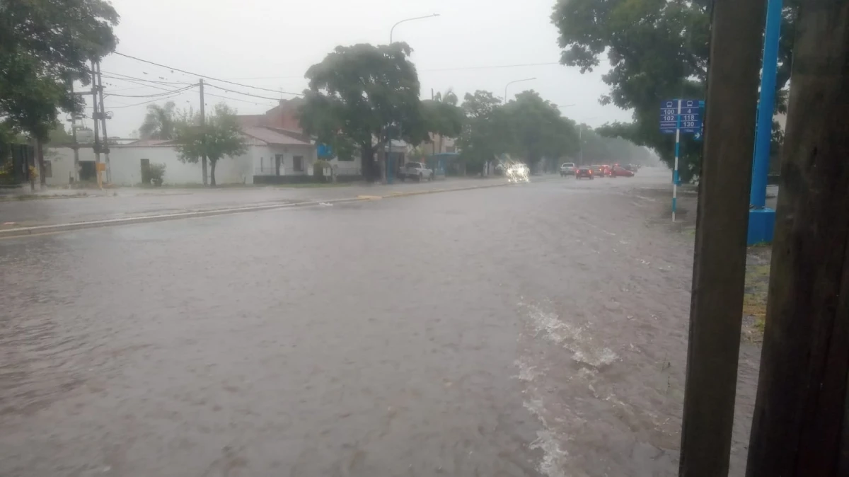 Avenida Mate de Luna.