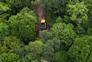 Otro caso de usurpación: avanza la ocupación de tierras en la yunga de Tafí Viejo