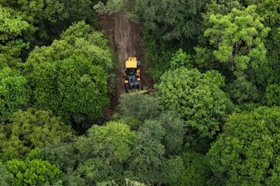 Otro caso de usurpación: avanza la ocupación de tierras en la yunga de Tafí Viejo