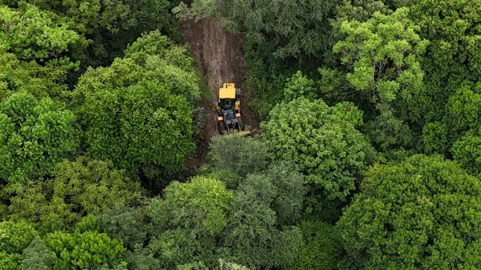 PRUEBA CATEGÓRICA. Con un dron, los inspectores municipales filmaron cuando la máquina realizaba la apertura de caminos en la zona protegida.