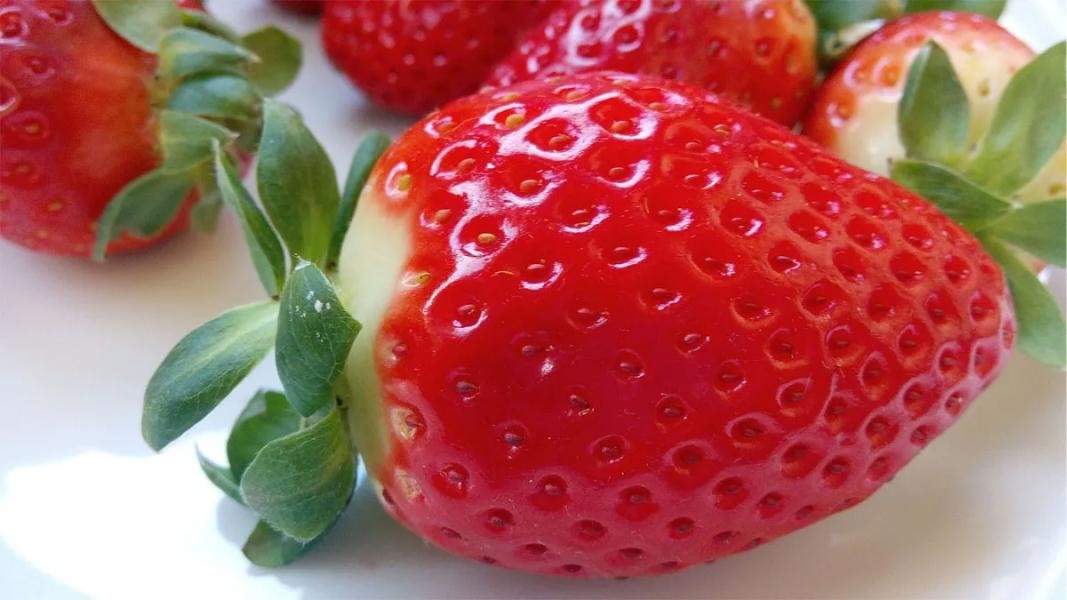 La queratosis pilaris produce unos puntos blancos o rojos similares a los que tienen las frutillas.