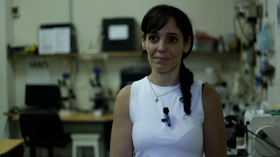 MARÍA MERCADO. Estudia tejidos y células de la planta. gentileza fotos de de Fundación Miguel Lillo