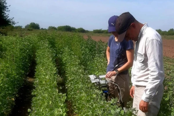 De los Andes al espacio: la quinoa como alternativa contra el hambre y la desertificación