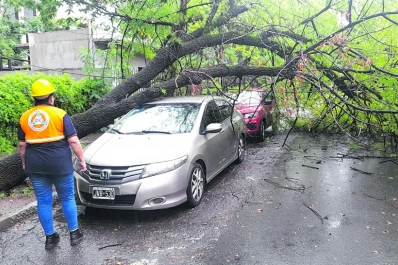 La intensa lluvia dejó árboles caídos y vecinos inundados: qué dice el pronóstico para hoy