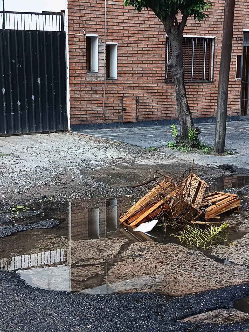 LA GACETA en WhatsApp: un vecino acumula basura en su casa