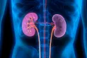 Los mejores consejos para cuidar la salud renal
