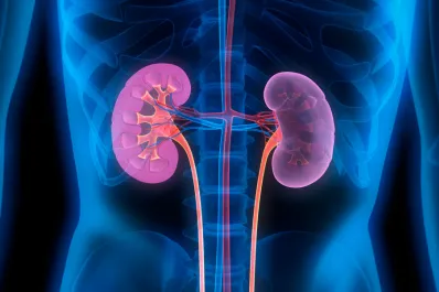 Los mejores consejos para cuidar la salud renal