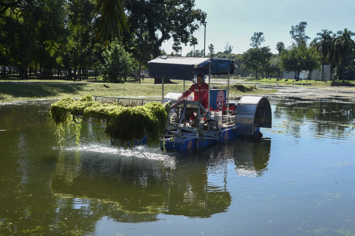 PARQUE 9 DE JULIO. Refuerzan la limpieza del Lago San Miguel con la incorporación de una nueva cosechadora de algas.