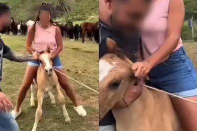 Indignación por un video de una joven montando un potrillo de un mes en Tafí del Valle