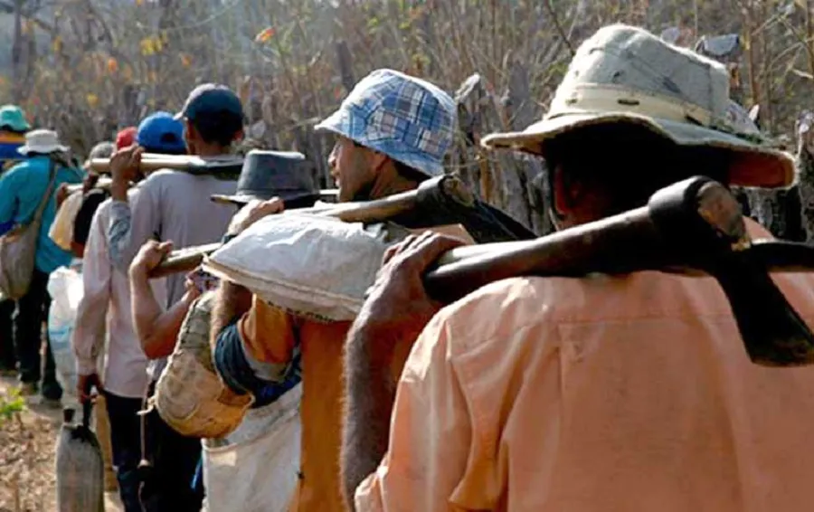 Brasil: unas 65.000 personas fueron liberadas del trabajo esclavo en tres décadas