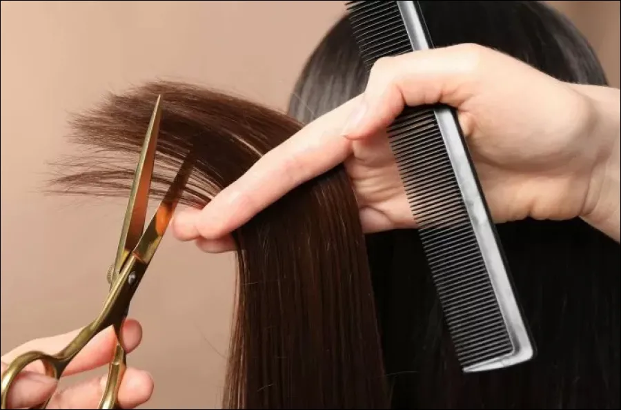  Los días raíz son momentos específicos del calendario lunar que promueven un cabello más fuerte y saludable.